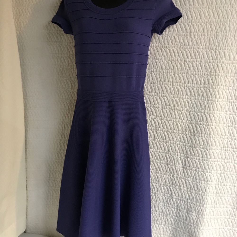 Rebecca Taylor extra small purple knit dress